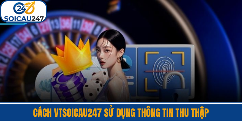 Cách VTSoiCau247 Sử Dụng Thông Tin Thu Thập