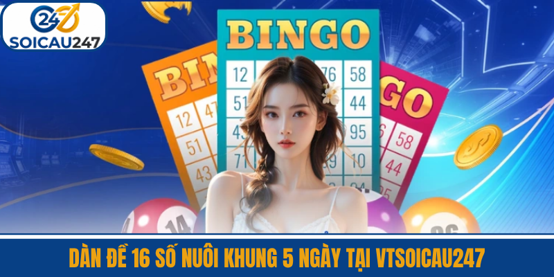 Dàn Đề 16 Số Nuôi Khung 5 Ngày Tại VTSoiCau247