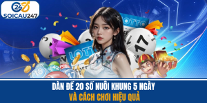 Dàn Đề 20 Số Nuôi Khung 5 Ngày Và Cách Chơi Hiệu Quả