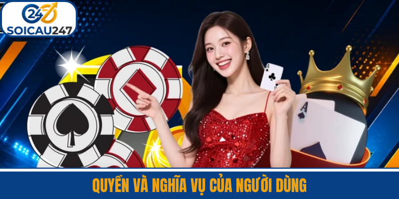 Quyền Và Nghĩa Vụ Của Người Dùng