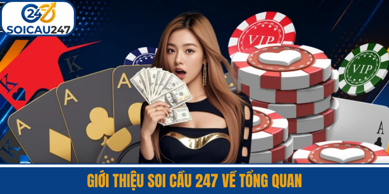 Giới Thiệu Soi Cầu 247 Về Tổng Quan