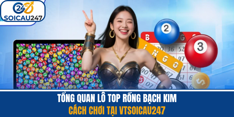 Tổng Quan Lô Top Rồng Bạch Kim - Cách Chơi Tại VTsoicau247