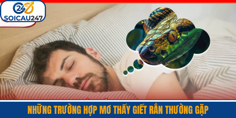Những Trường Hợp Mơ Thấy Giết Rắn Thường Gặp