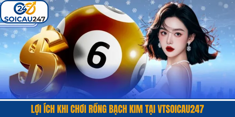 Lợi Ích Khi Chơi Rồng Bạch Kim Tại VTSoiCau247