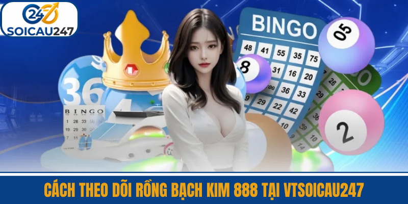 Cách Theo Dõi Rồng Bạch Kim 888 Tại VTSoiCau247