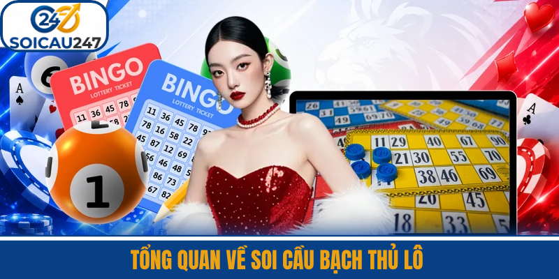 Tổng Quan Về Soi Cầu Bạch Thủ Lô 