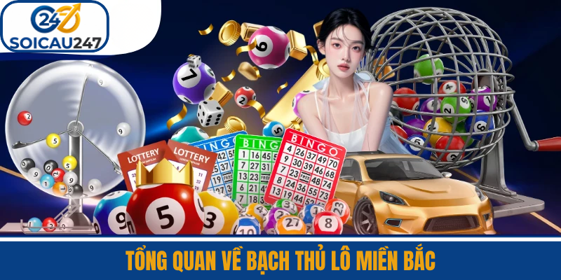 Tổng Quan Về Bạch Thủ Lô Miền Bắc