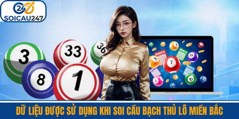 Dữ Liệu Được Sử Dụng Khi Soi Cầu Bạch Thủ Lô Miền Bắc