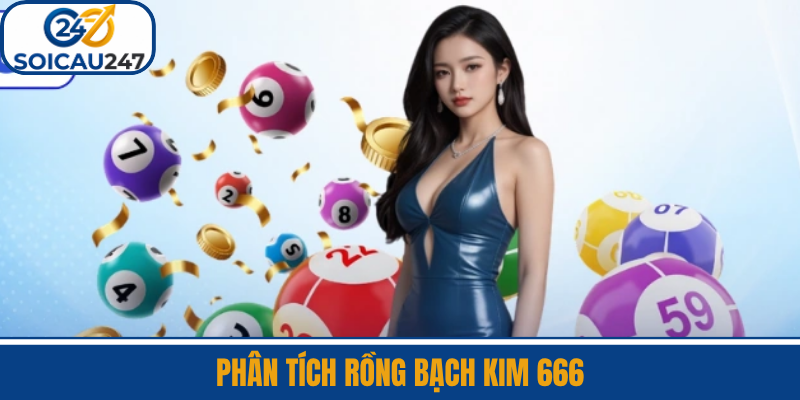 Phân Tích Rồng Bạch Kim 666