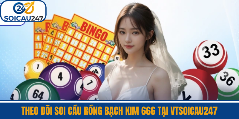 Theo Dõi Soi Cầu Rồng Bạch Kim 666 Tại VTSoiCau247