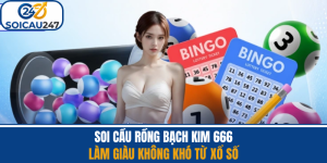 Soi Cầu Rồng Bạch Kim 666 - Làm Giàu Không Khó Từ Xổ Số